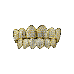GRILLZBYSOLEZ
